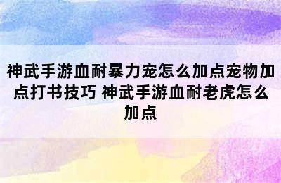 神武手游血耐暴力宠怎么加点宠物加点打书技巧 神武手游血耐老虎怎么加点